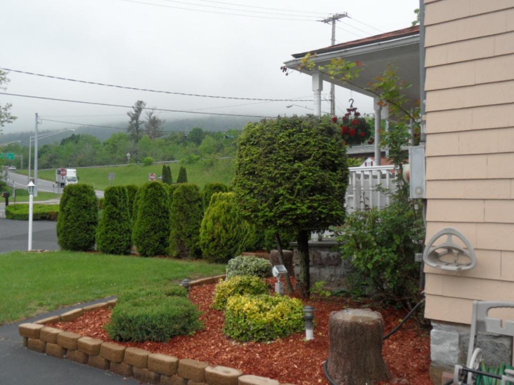 Seven Dwarfs Motel & Cabins Lake George Luaran gambar